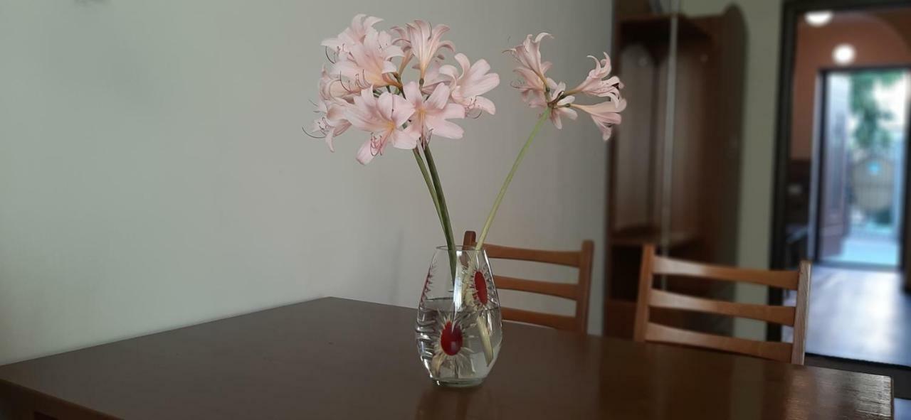 Hotel Звёздный à Odessa Extérieur photo